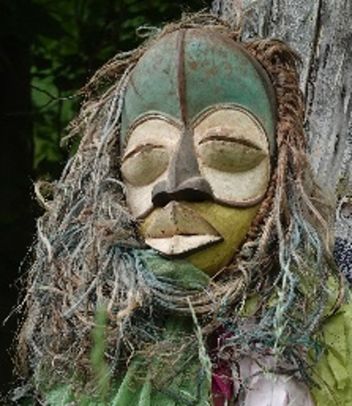 Mask being of Nemoland