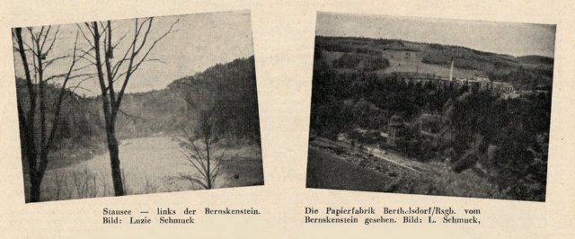 berthelsd_bernskenstein.jpg